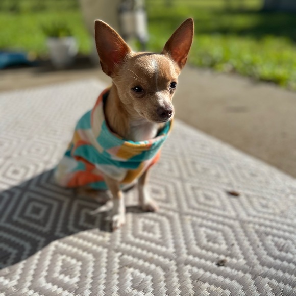 Meet your Posher, Karen - Picture 1 of 1